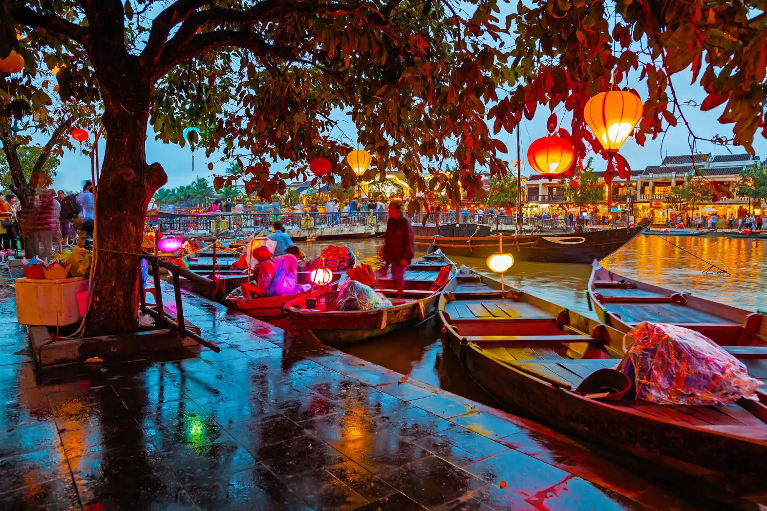 Traditional wooden boats moored on a tranquil river in Hoi An, Vietnam, with colourful lanterns hanging from tree branches overhead