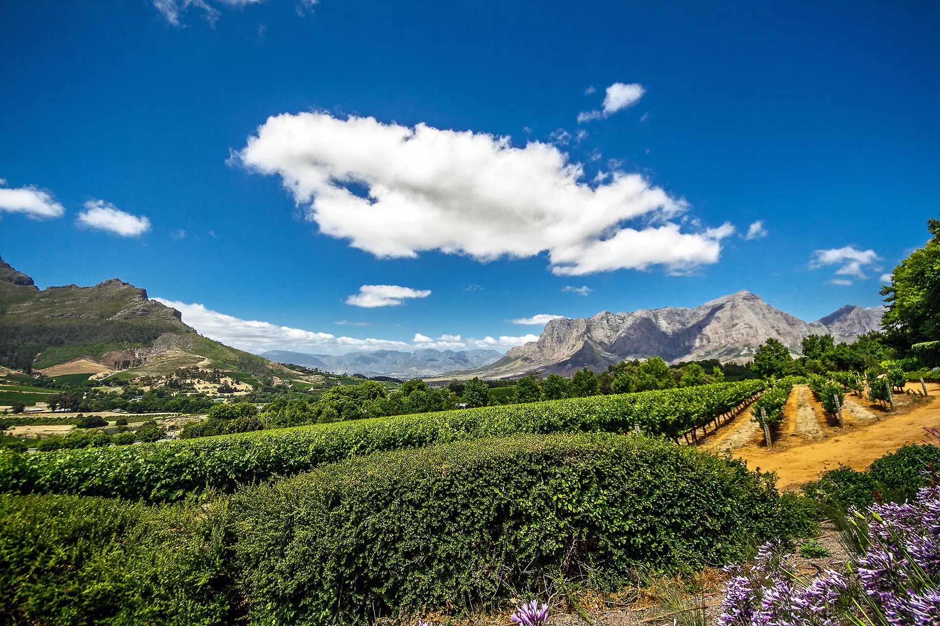 Franschhoek, Cape Town