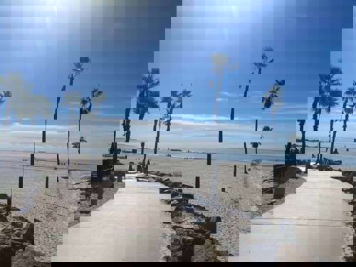 The sunny delights of SoCal