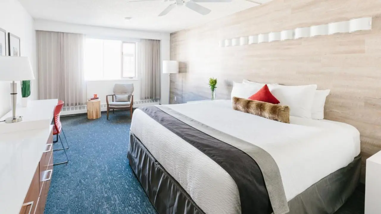 Bright and contemporary guest room at Elk & Avenue Hotel, Banff, with a king bed, wood-panelled feature wall, and minimalist décor