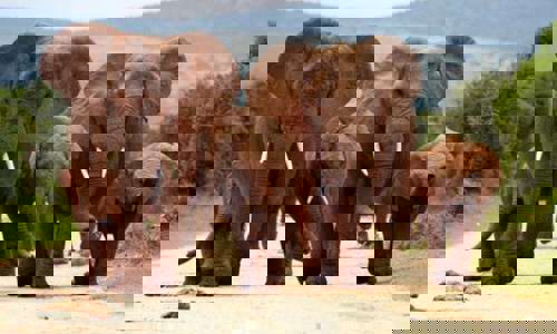 Torres del Paine National Park, Chile