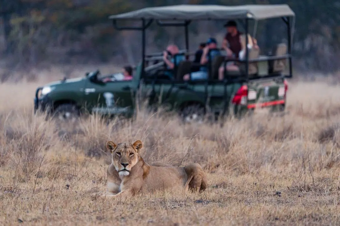 Game Drive, Hwange National Park, Zimbabwe