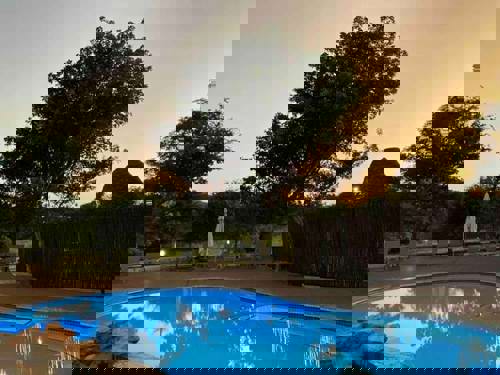 Staff Trip To A South African Safari Holiday with Newmarket Holidays