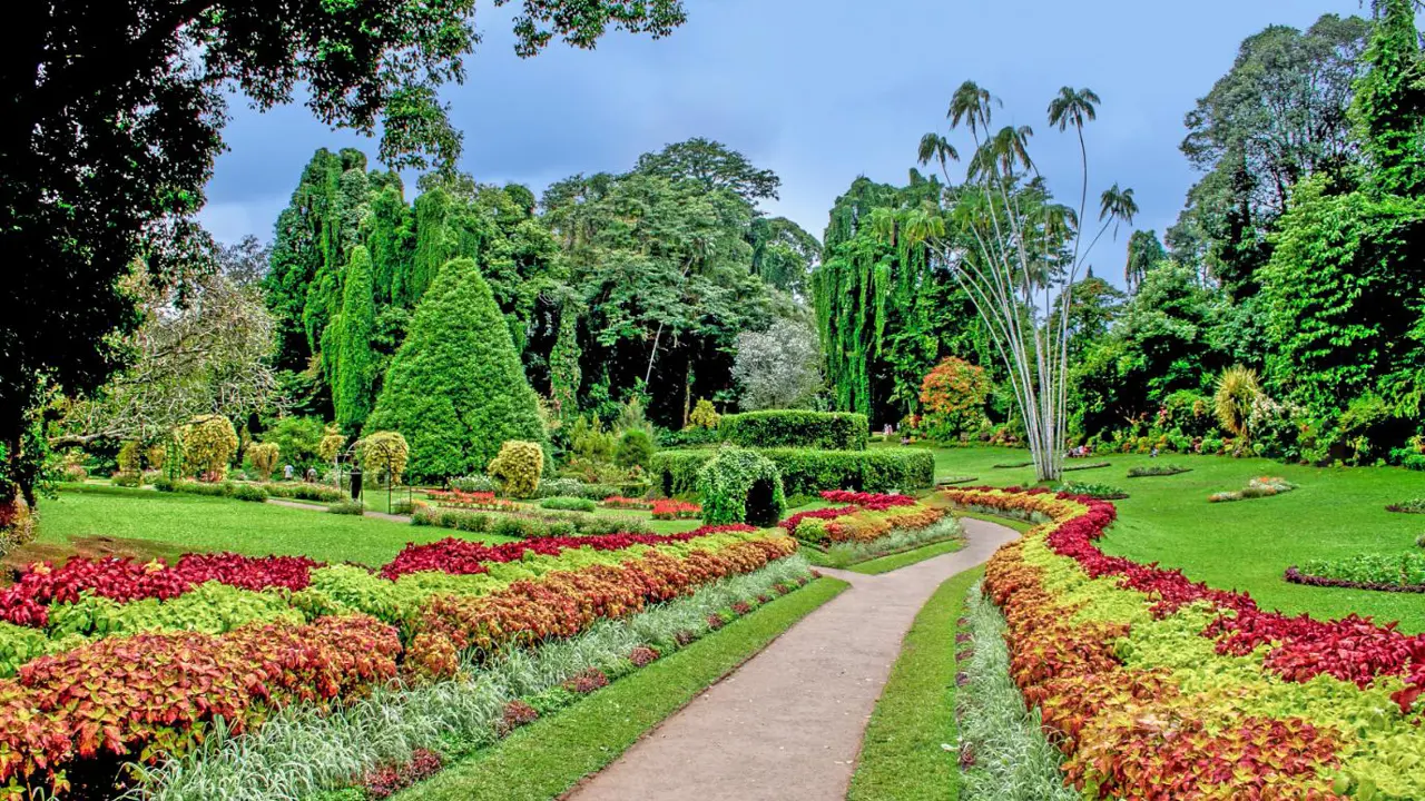 Peradeniya Botanical Garden, Kandy