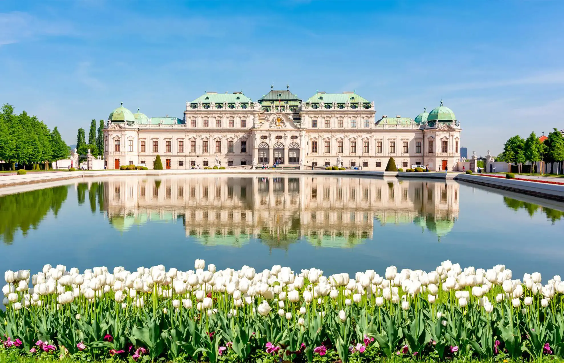 The Belvedere Palace in Vienna, Austria, reflected in a large pond with white tulips and other flowers in the foreground under a clear blue sky