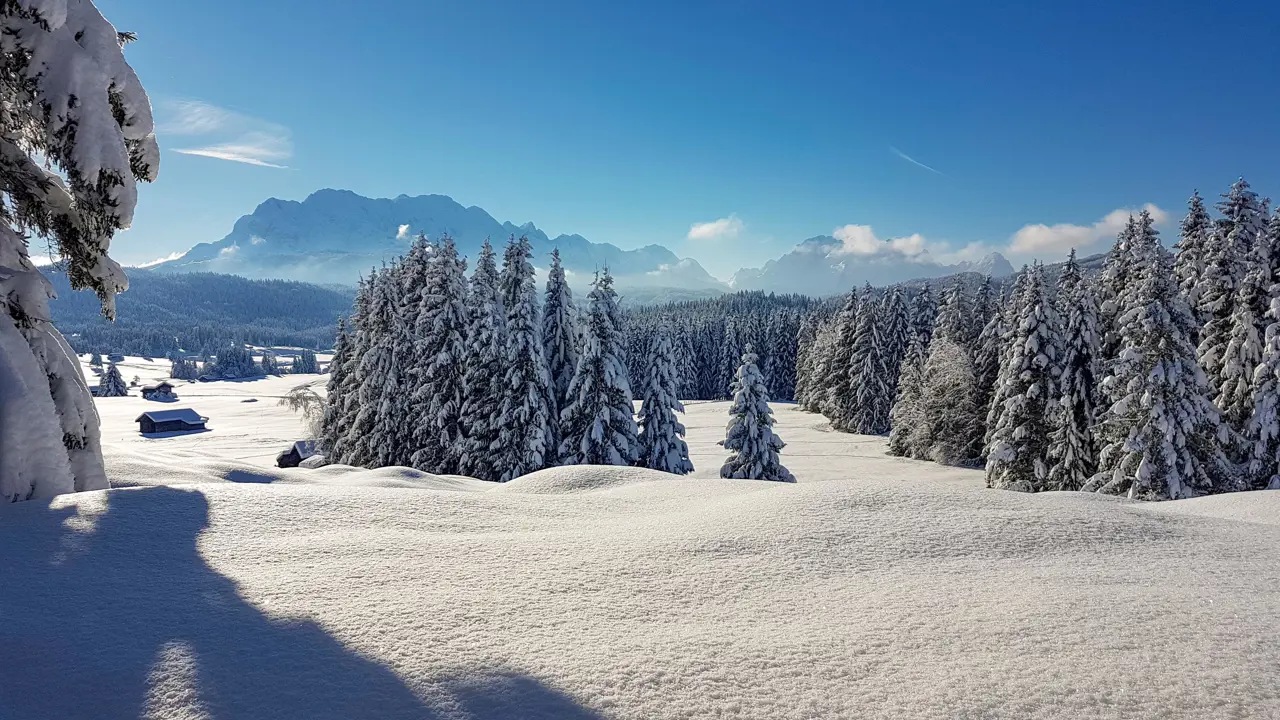 Winter scene, Bavarian Forest, Germany