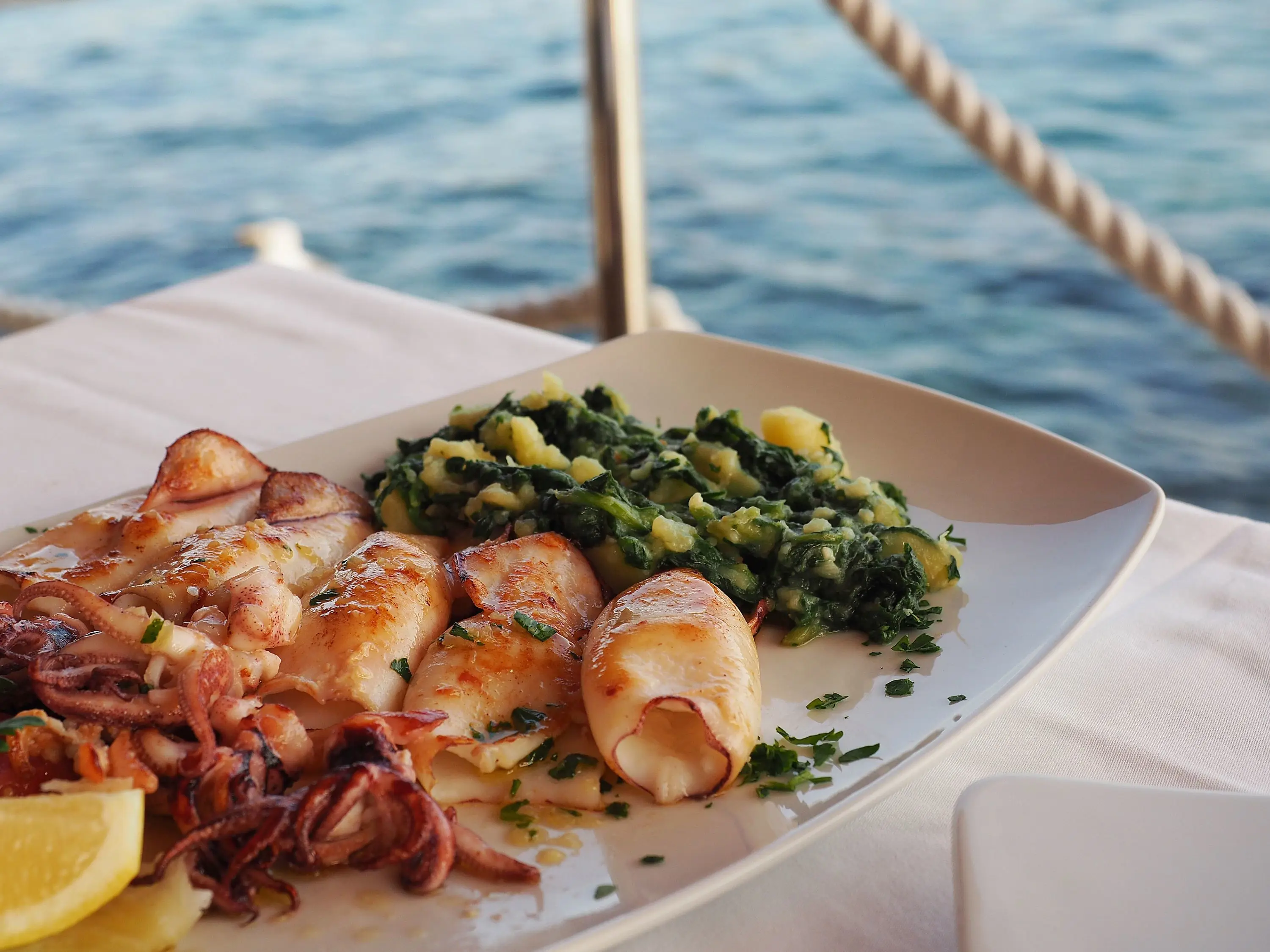 Close up of a plate of food, with octopus, squid and a green salad with a background of the sea