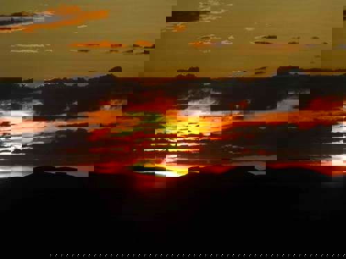 Staff Trip To A South African Safari Holiday with Newmarket Holiday