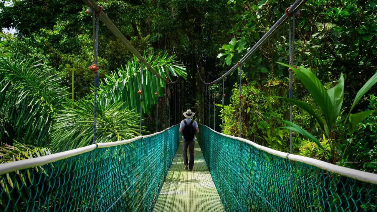 A man walking across a suspension bridge surrounded by lush greenery in the Monteverde Cloud Forest