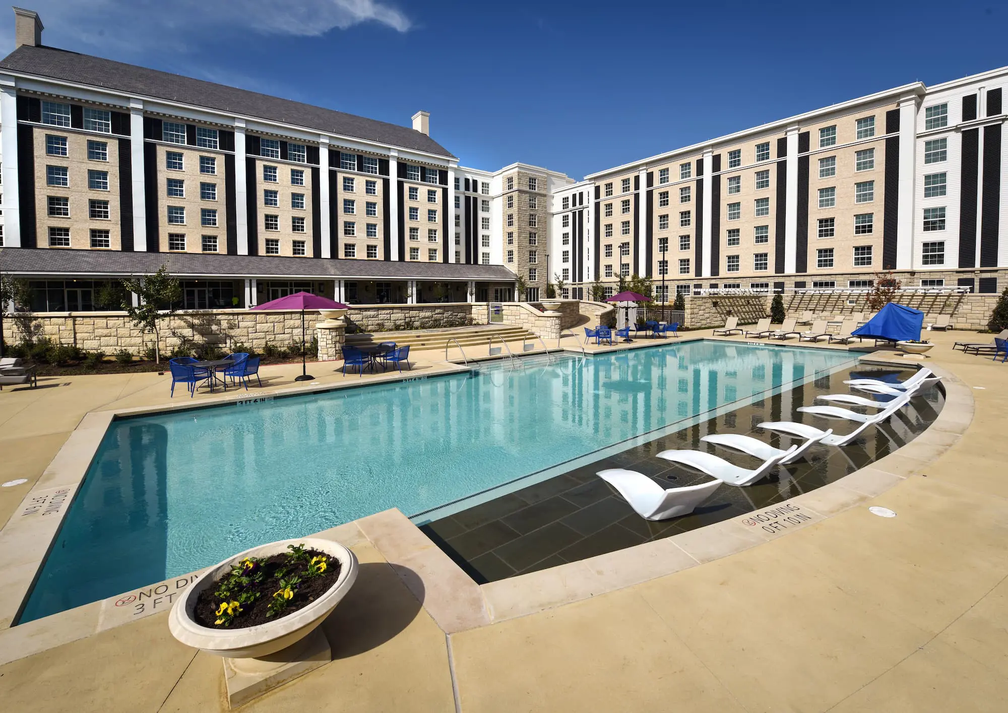 Outdoor swimming pool at The Guest House at Graceland with sun loungers and parasols