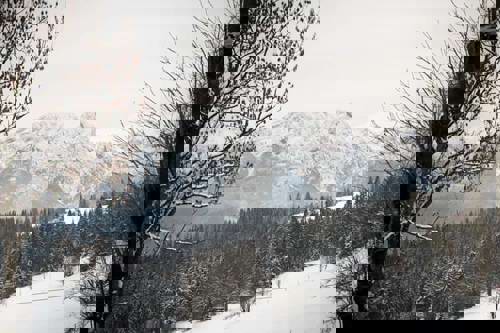 The wintry delights of Poland