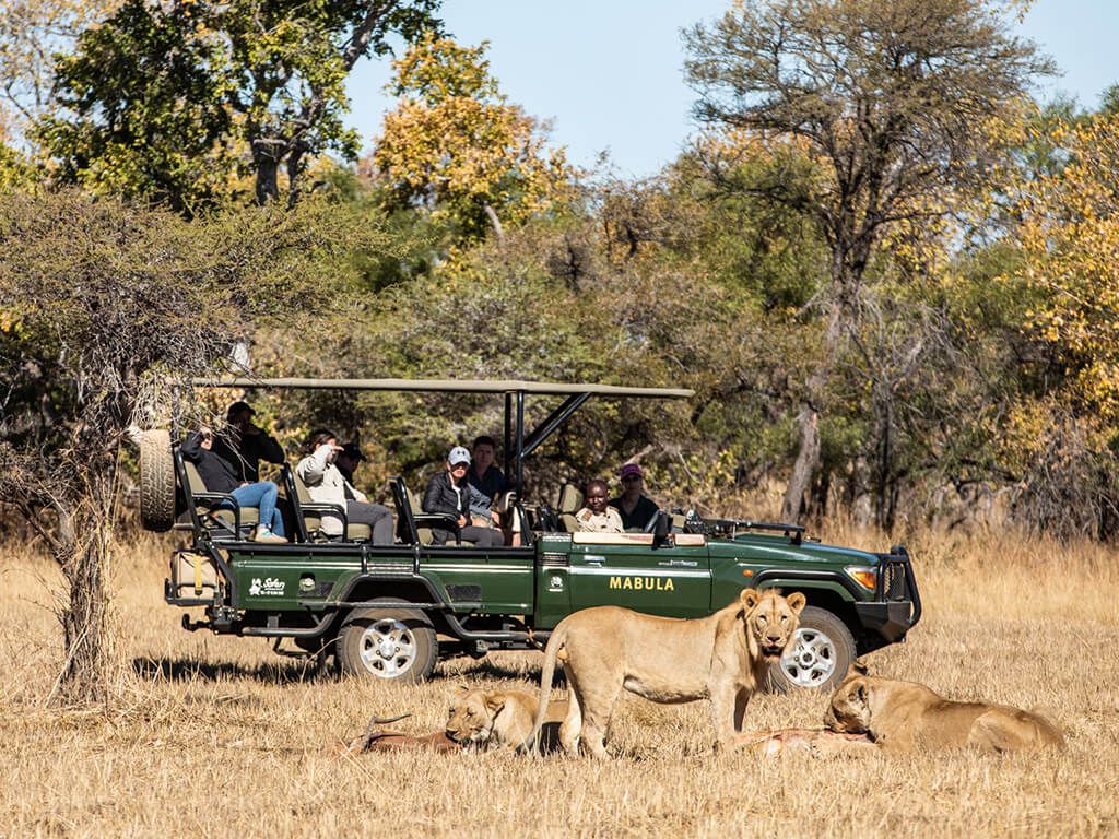 Mabula Lodge Safari Lions