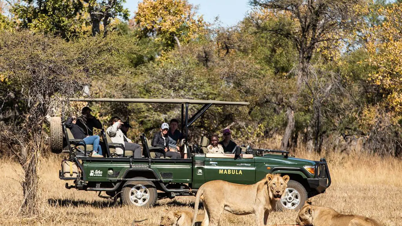 Mabula Game Lodge, watching lions on a game drive