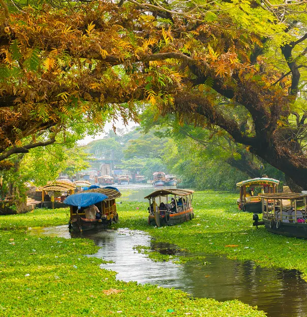 Houseboats On Backwaters In Alleppey, Kerala, India