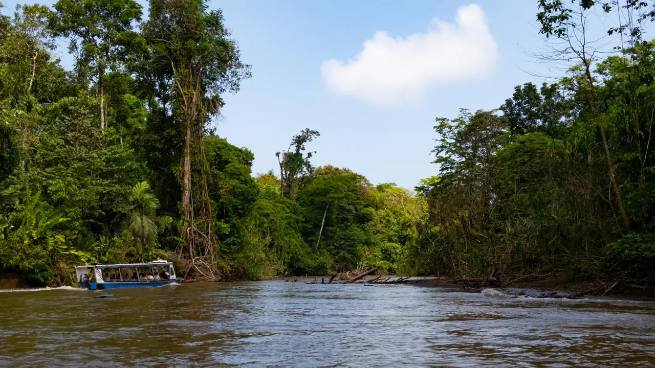 Boat Exploring Tortuguero National Park, Costa Rica