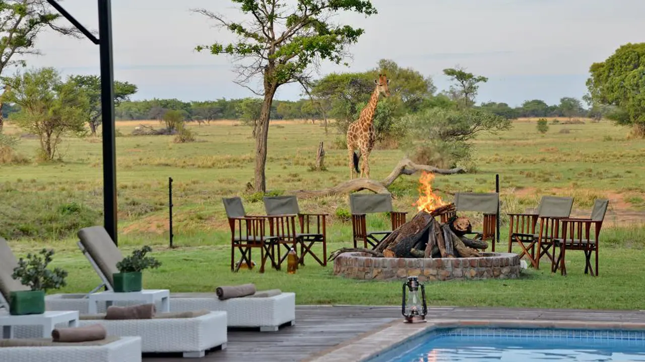 Safari Plains, Limpopo, view of fire pit with giraffe in the background